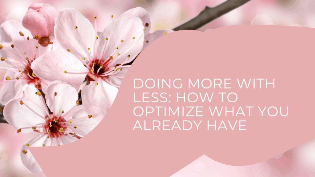Doing More With Less: How to optimize what you already have
